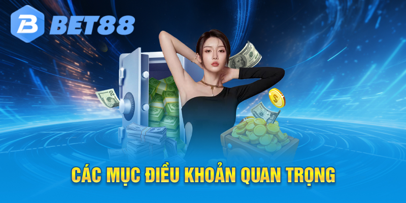Các mục điều kiện và điều khoản quan trọng