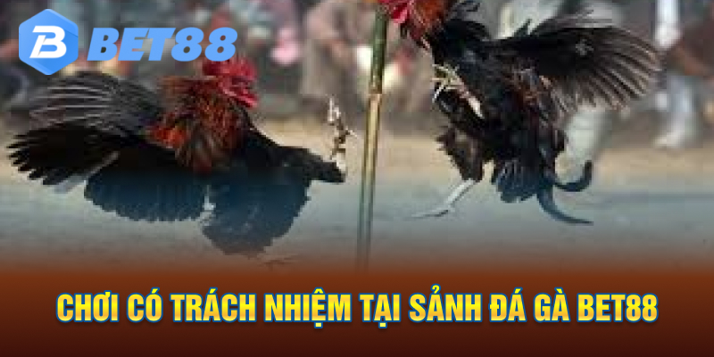 Chơi có trách nhiệm tại sảnh đá gà bet88