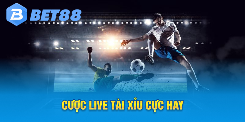 Cược live tài xỉu cực hay