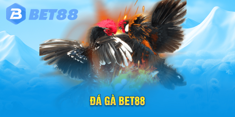 Đá Gà Bet88