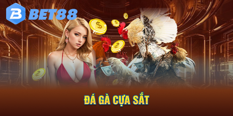 Đá Gà Cựa Sắt Bet88