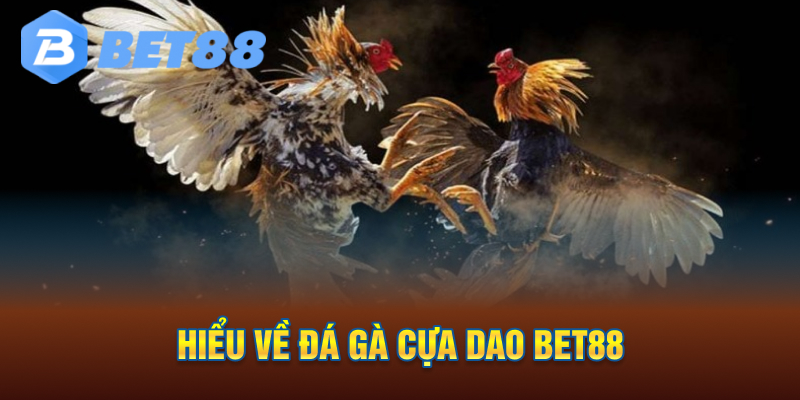 hiểu về đá gà cựa dao bet88