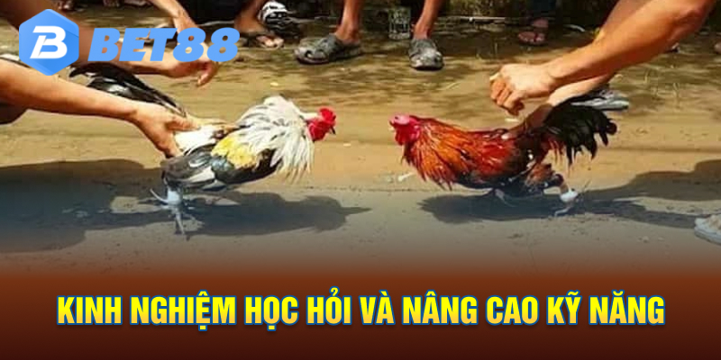 kinh nghiệm học hỏi và nâng cao kỹ năng