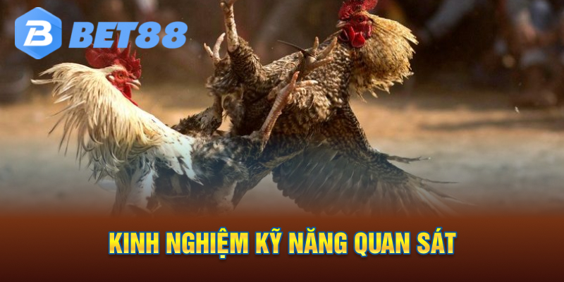 Kinh nghiệm kỹ năng quan sát