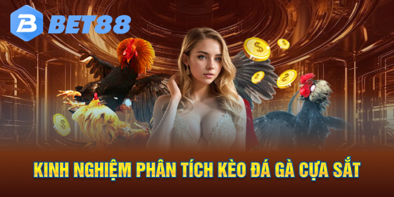 Kinh nghiệm phân tích kèo đá gà cựa sắt